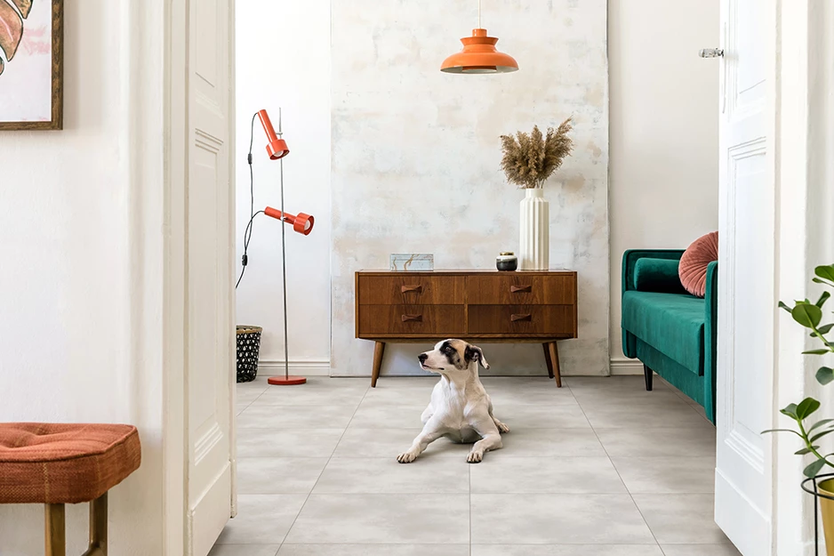 calderea seasalt carousel 2